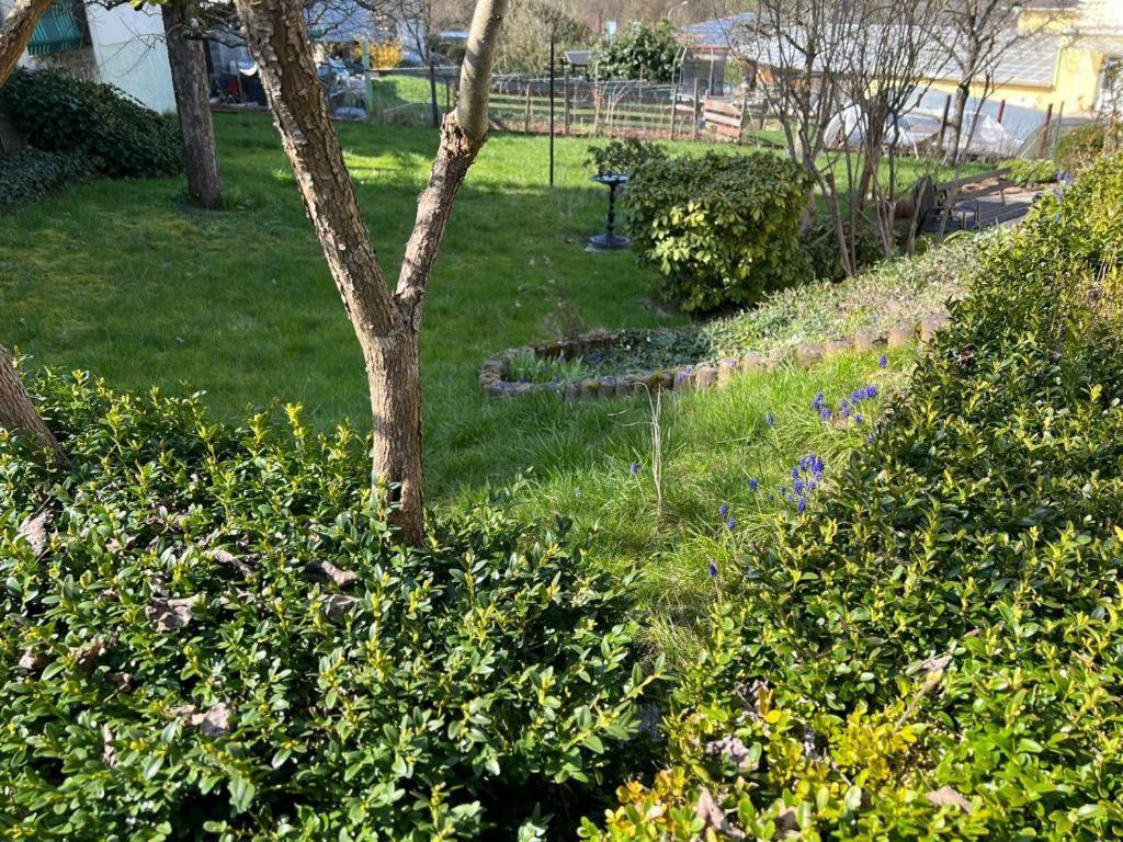 Ferien- Und Monteurwohnung Zum Waldblick Exterior foto